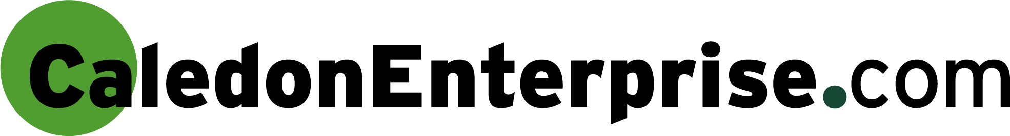 CaledonEnterprise.com